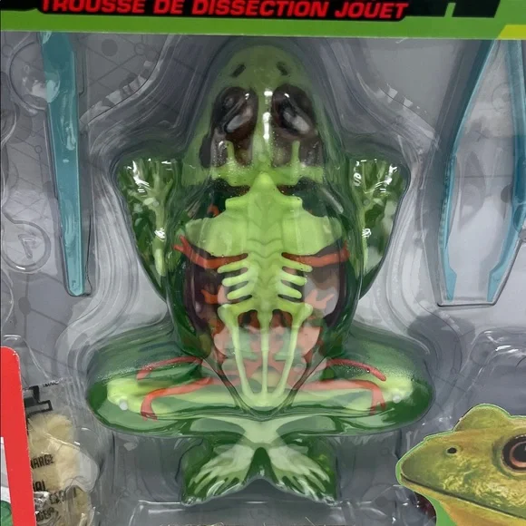Dissect-It Super Lab Frog - Picture 3 of 12